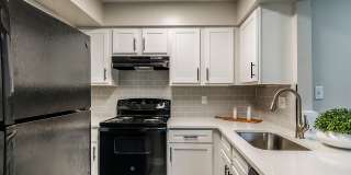 Cadia on the Loop Gallery 2