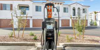 Arista at Ocotillo by Mark-Taylor Gallery 10