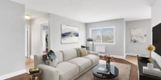 Carolina Village Gallery 33