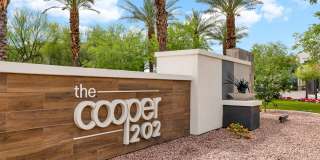 Cooper 202 Gallery 43