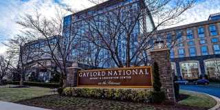 5815 ARBROATH DR Gallery 37