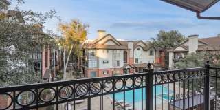 Carrara at Cole Gallery 11