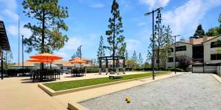 Sierra Del Oro Apartments Gallery 28