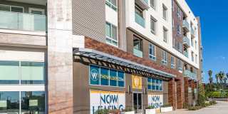 The Wylden Gallery 55