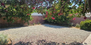 8009 Aldea Gallery 34