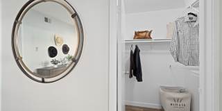 Solas Glendale Gallery 14