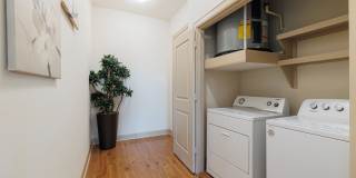 Domain at Kirby Gallery 25