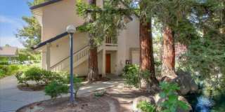 Charming Condo in the Heart of San Jose - $2,400/mo Gallery 1