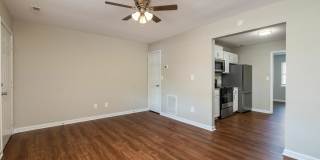 Axis on Roan Gallery 6