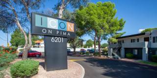 Icon on Pima Gallery 29