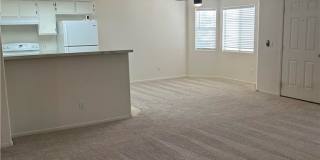 6560 Wilma Avenue Gallery 4