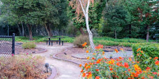 Creekwood Gallery 19