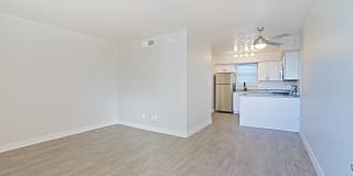 Allora Phoenix Gallery 4