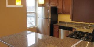 Large pet friendly, sunny, renovated 3 bed unit near Brookline Village. Gallery 9