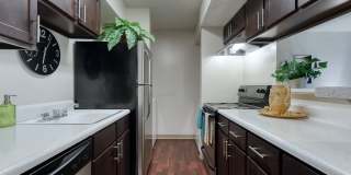 Broadstone Medical Gallery 15