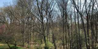 11659 STONEVIEW Square Gallery 30