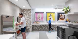 The Sterling at Regent Square Gallery 40