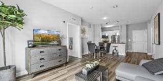 Harbor Pointe Gallery 78