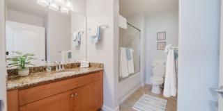 1019 Costa Pacifica Way Gallery 11
