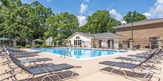 Canter Chase Gallery 8