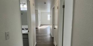 Wedgewood Apartments Gallery 20