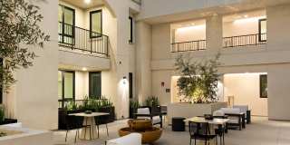 Silhouette Gallery 23