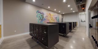 Modera Washington Gallery 34