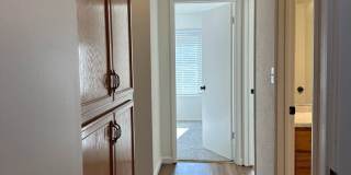 Mature dog considered. Nice home, convenient location off Placer & Wisconsin, Rdg. Gallery 22