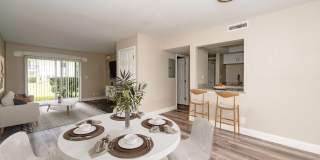 Palm Cove Apartments Palm Cove Apartments Gallery 1