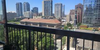 33 W Delaware Place Gallery 10