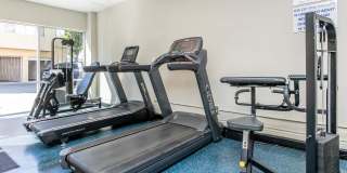 Park Sierra Gallery 87