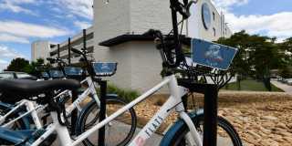 Passenger Flats Gallery 37