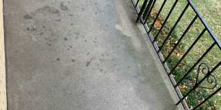 Nandale - Yellow Gallery 7