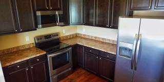 Dream Mountain Hollow Gallery 5