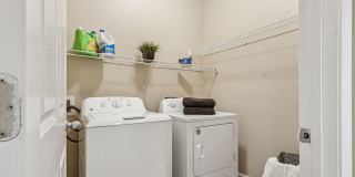 Bayou Reserve Gallery 26