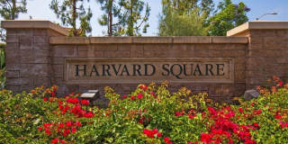 19 Tennessee Gallery 38