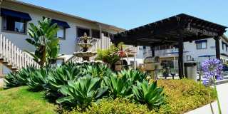 La Jolla Canyon Gallery 27