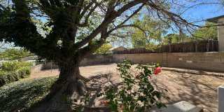 Stunning Nob Hill Bungalow! Gallery 18