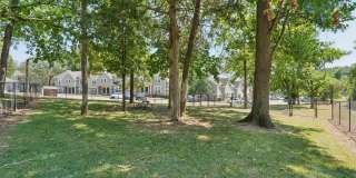 Piccadilly Gallery 14