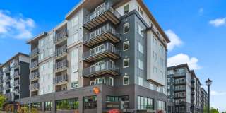 Solera Apartments Gallery 1