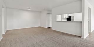 ReNew Woodland North and South Gallery 21