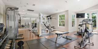 Park Central Gallery 6