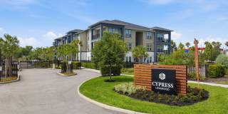 Alta Cypress Gallery 32