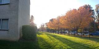 Hewitt Gardens Gallery 54