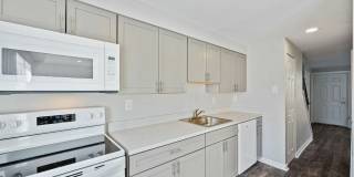 Village of Carrollwood Village of Carrollwood Gallery 11