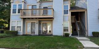 4704 DORSEY HALL Drive 4704 DORSEY HALL Drive Gallery 1
