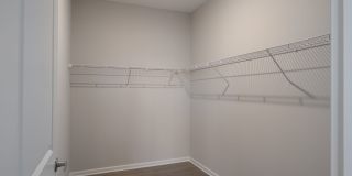 Newtown Woods Gallery 37