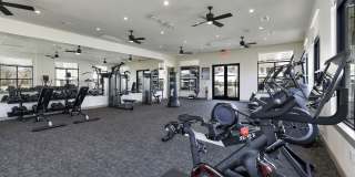 Local Dripping Springs Local Dripping Springs Gallery 31