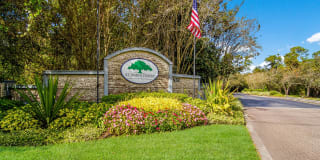 St. Johns Forest Gallery 21