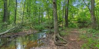 3607 Canoe Birch Ct Gallery 24